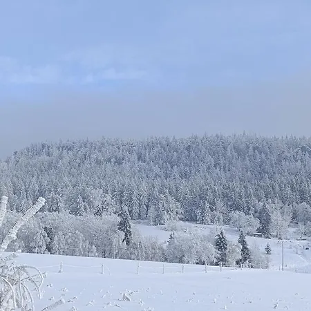Appartement Z Gorskim Klimatem Duszniki Zdrój