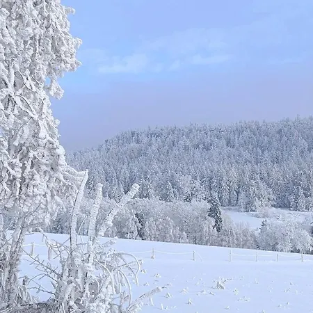 Z Gorskim Klimatem