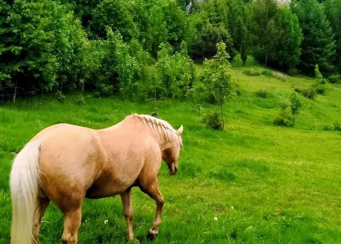 Apartment Z Gorskim Klimatem