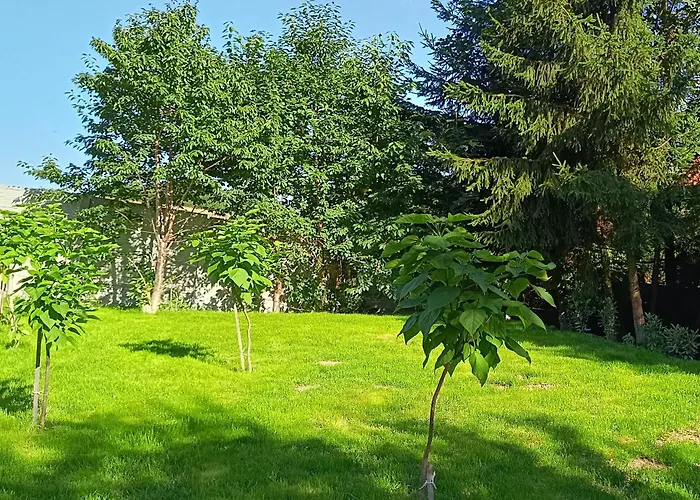 Z Gorskim Klimatem *