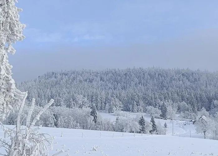 Appartamento Z Gorskim Klimatem Duszniki Zdrój